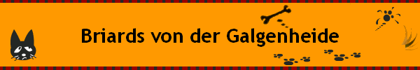 Briards von der Galgenheide